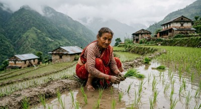  सांस्कृतिक पर्व असार १५: धान दिवससहित दही चिउरा खाएर मनाइँदै 